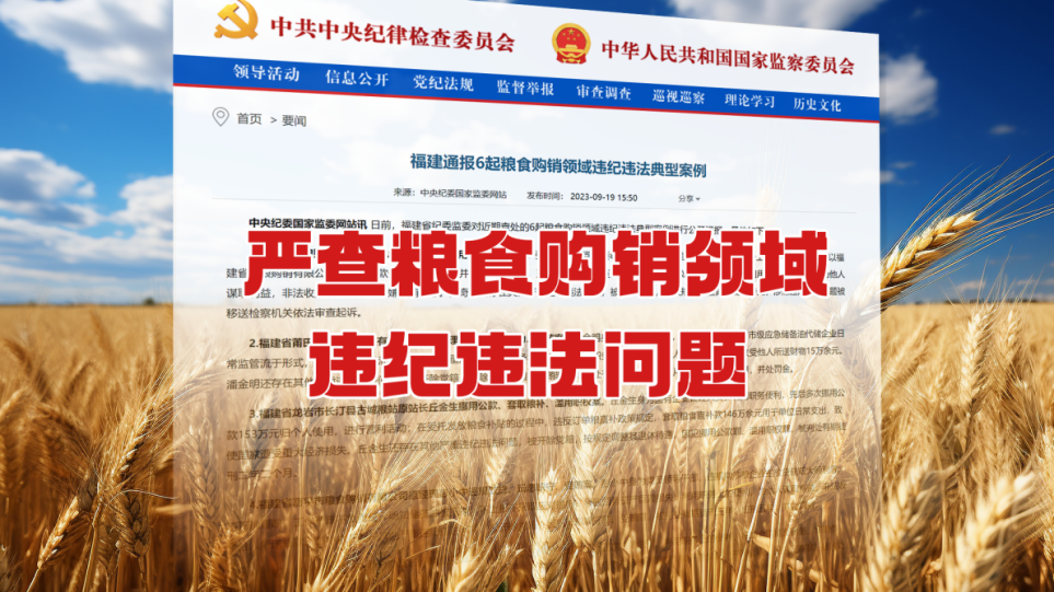 V视频丨严查粮食购销领域违纪违法问题